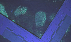 Fingerprint