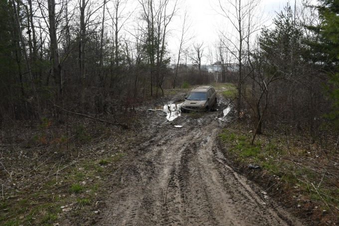 Figure 1 – Boisé où un véhicule RAV4 noir de Toyota noir a été trouvé partiellement submergé dans la boue.