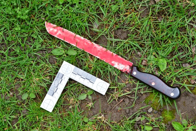 Figure 1 - The serrated knife that the Complainant wielded.