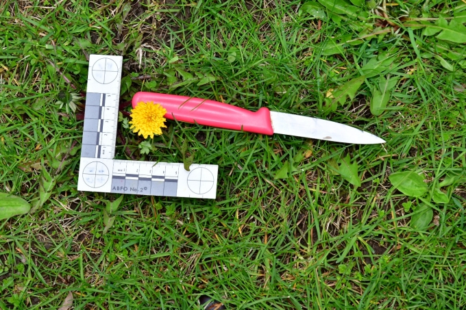 Figure 2 – Le couteau d’office qui a été trouvé à proximité de l’endroit où le plaignant est tombé.