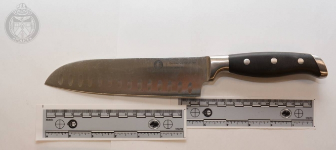 Figure 2 - The kitchen knife brandished by the Complainant.