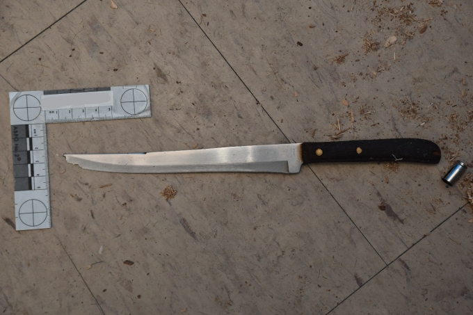 Figure 1 – Le couteau de M. Gedi