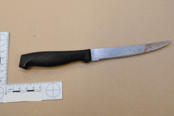 Figure 1 - Le couteau du plaignant