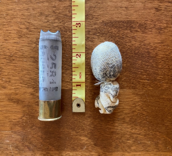 Figure 1 – sock round and shell casing