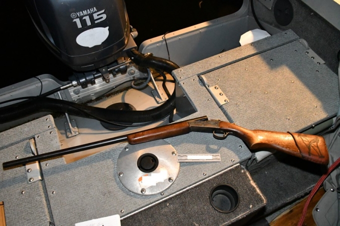 Photo 1 — Carabine semi-automatique Mossberg de calibre .22