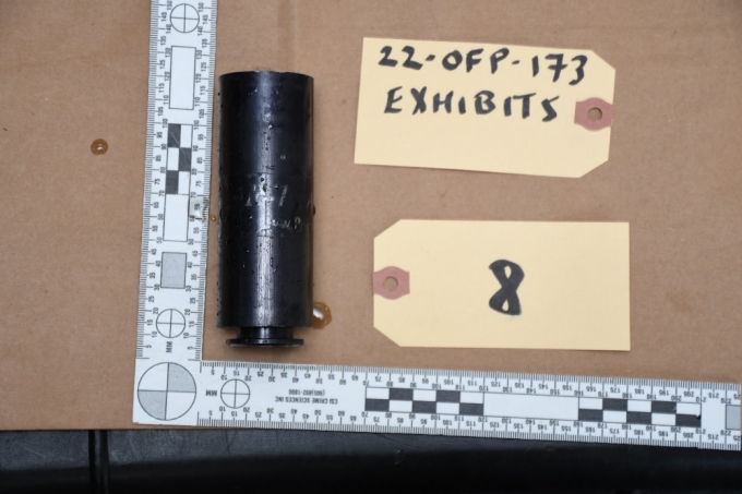 Figure 2 – ARWEN cartridge