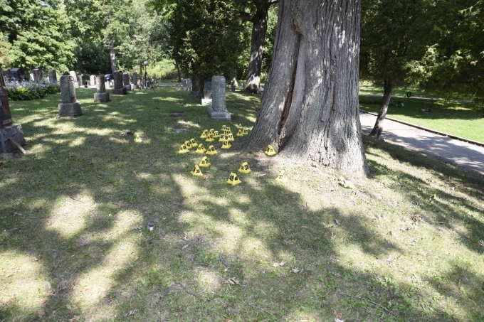 Figure 1 – Les lieux de l’incident; des éléments de preuve se trouvent près d’un arbre