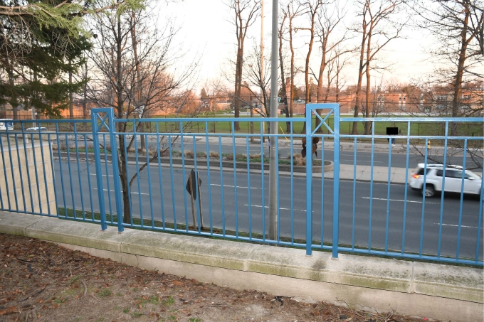 Figure 2 - Iron-fence at the condominium complex at Ellesmere Road and Brimley Road