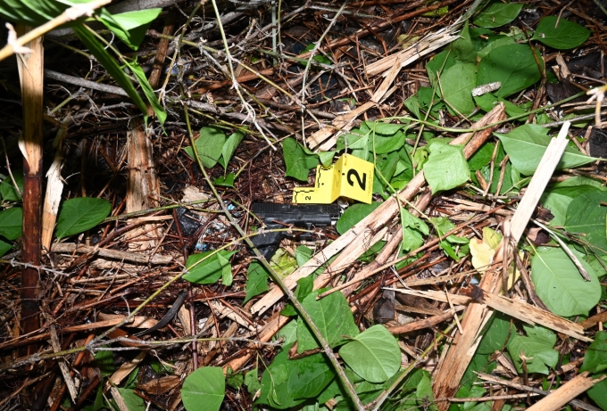 Figure 3 – The handgun recovered in the bush