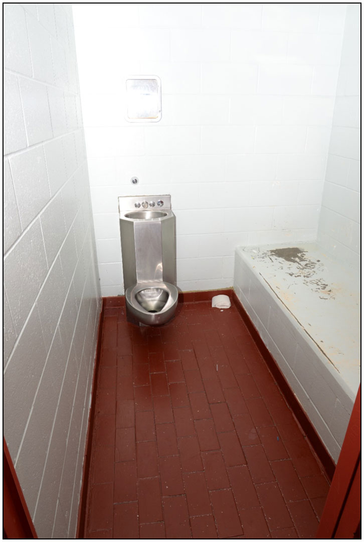 Photo of Cell 12