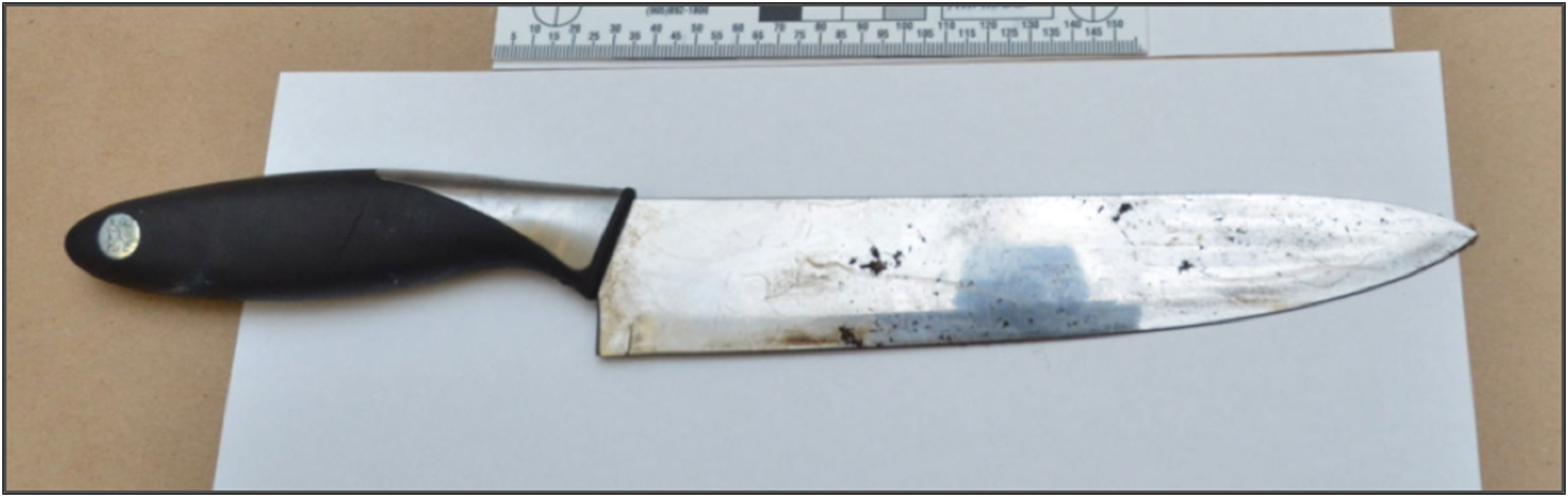 A photo of the knives seized