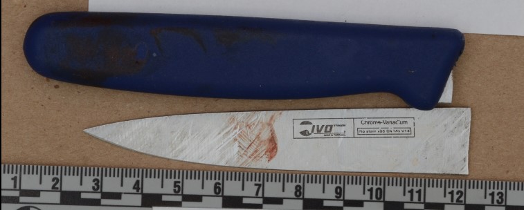 Photo of the knife seized