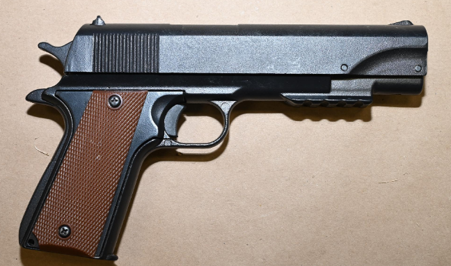 Figure 2 &ndash; Le pistolet &agrave; air comprim&eacute; du plaignant.