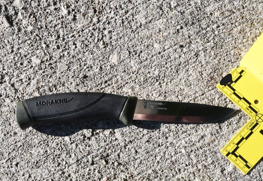 Figure 1 &ndash; Le couteau