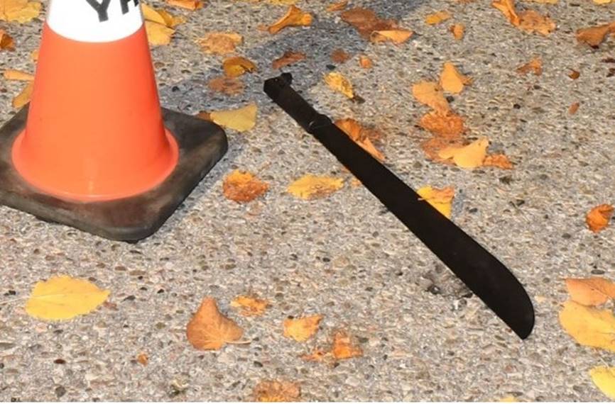 Figure 2 - The machete located next to the Complainant