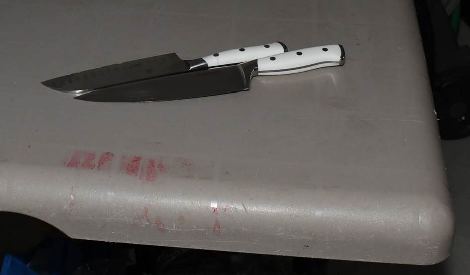 Figure 2 - Knives found in garage