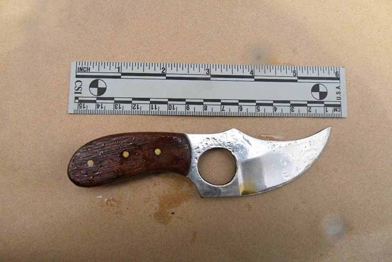 Figure 2 - The Complainant's knife