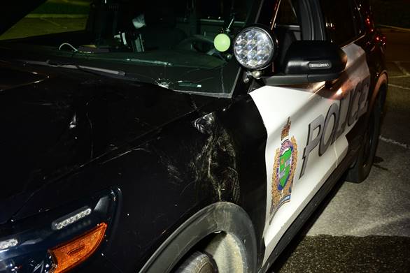 Figure 1 &ndash; Damage to the front driver&rsquo;s side of SO #1&rsquo;s vehicle