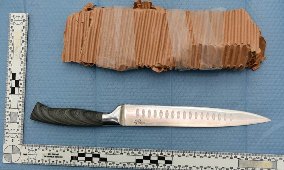 Figure 3 - The Complainant's knife