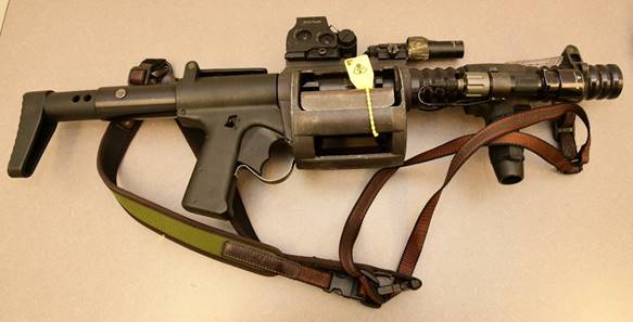 Figure 1 &ndash; Arme ARWEN