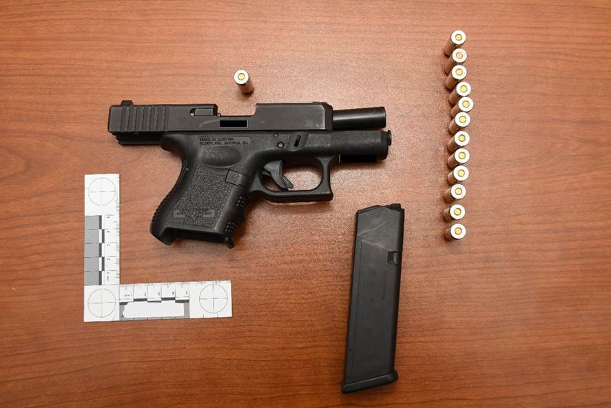 Figure 1 - The SO's firearm