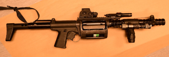 Figure 1 - ARWEN