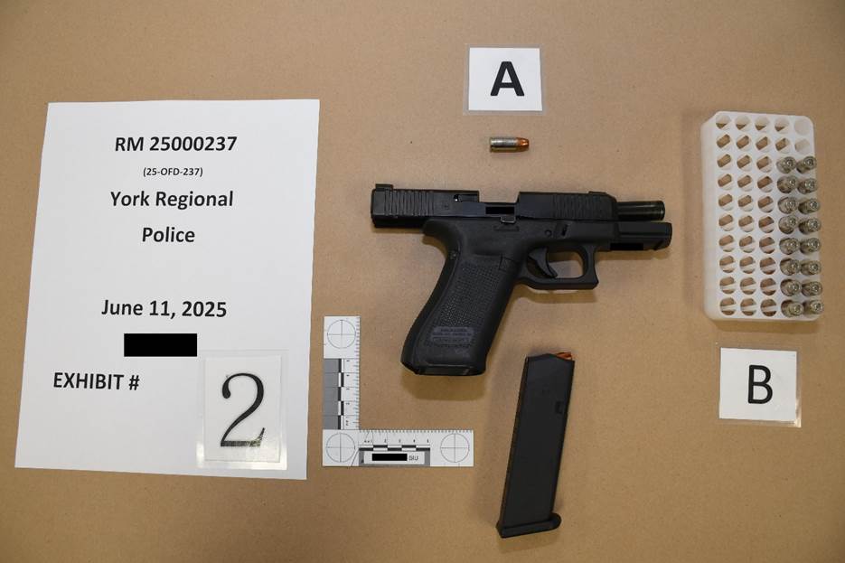 Figure 1 - the SO&rsquo;s firearm