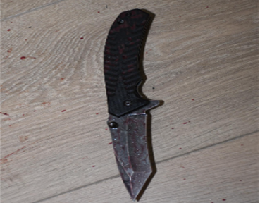 Figure 2 - Folding knife