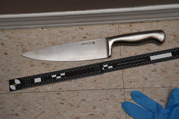 Figure 1 - The 34 cm stainless-steel kitchen knife