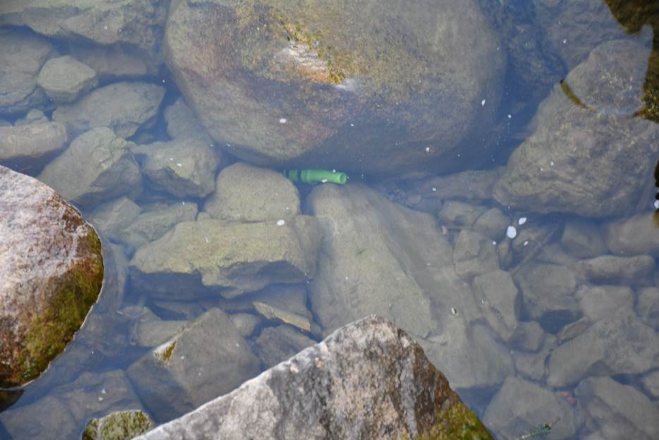 Figure 1 - ARWEN projectile in water