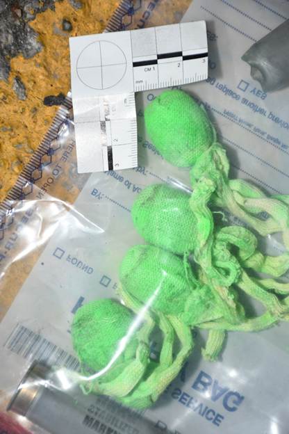 Figure 2 - Evidence bag with less-lethal shotgun shells and projectiles