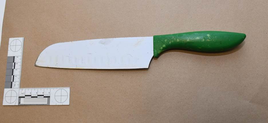 Figure 4 - The knife.