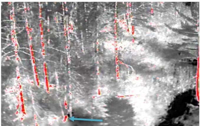 Bien que cela soit difficile à voir, la flèche bleue indique la lueur de départ provenant de l’arme à feu du plaignant. 