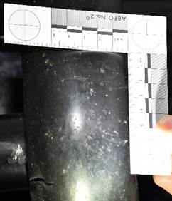 Physical Evidence 