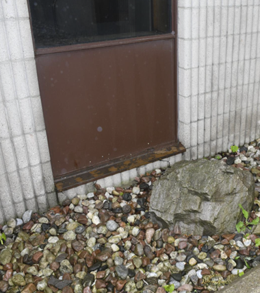 Image - the location where the Complainant fell after the CEW deployment