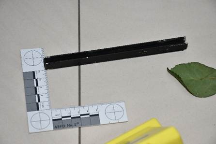 Physical evidence